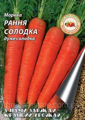 Морковь Семко Морковь Олимпиец - купить по выгодным ценам в  интернет-магазине OZON (821359549)