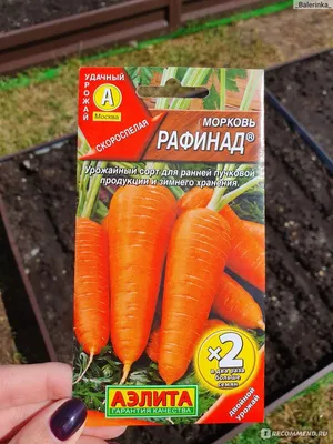 Агрохолдинг Поиск Семена моркови набор