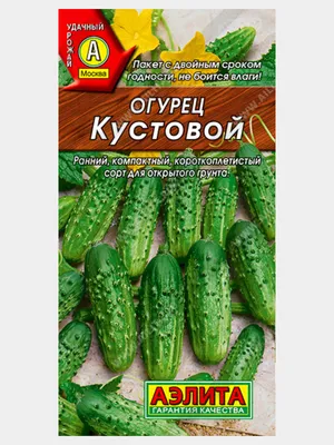 Семена Огурец Сибирская Коллекция Для Открытого Грунта (а/ф Семена Алтая)  купить за 86 р. в садовом центре АСТ Медовое