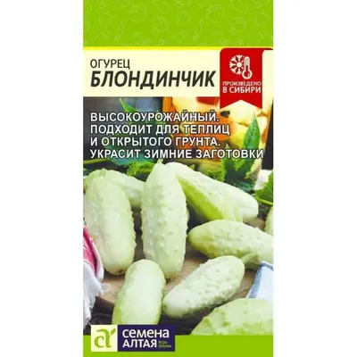 9 сортов огурцов, которые не горчат: что посадить без горечи в грунт или  теплицу. Лучшие сорта огурцов - 10 марта 2022 - НГС