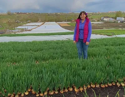 Green freely - польза зеленого лука Зеленый лук содержит витамин А, который  благотворно влияет на внешний вид, улучшает состояние кожи, волос, ногтевых  пластин, замедляет процессы старения в организме и препятствует ухудшению  зрения.