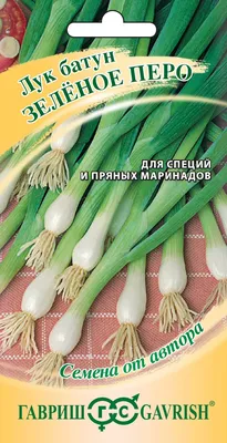 Лук зеленый 100 г - купить в Магнит - СберМаркет, цена на Мегамаркет