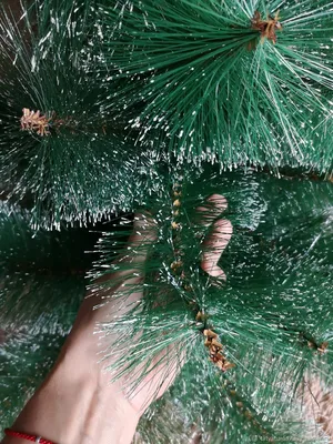 Сосна искусственная QVATRA Пушистая pinetree_240 240 см зеленая заснеженная  - купить в Москве, цены на Мегамаркет