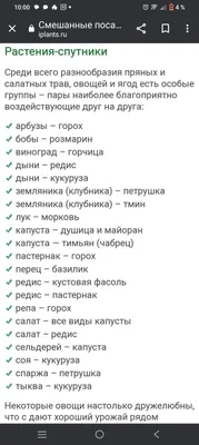 Совместимость растений при посадке: севооборот овощных культурна грядке и в  огороде | Houzz Россия