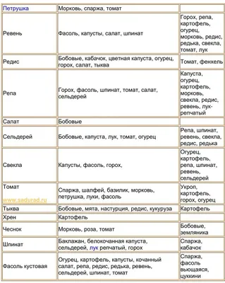 Смешанные посадки — каким культурам лучше расти вместе?. Лучшие  растения-соседи. Фото — Ботаничка