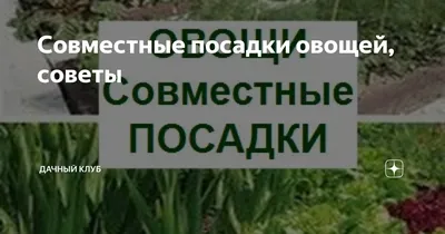 Что сажать в апреле: посадка рассады в открытый грунт, список овощей и  цветов