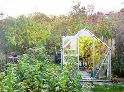 OSC ROYAL GREENHOUSES - СОВРЕМЕННЫЕ ЕВРОПЕЙСКИЕ ТЕПЛИЦЫ \"ПОД КЛЮЧ\".  Toshkentda, sotib olish (Art: 18P4KR) - Tovar.uz