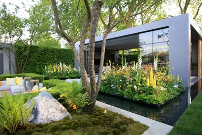 Современный сад у дома, эстетично, …» — создано в Шедевруме