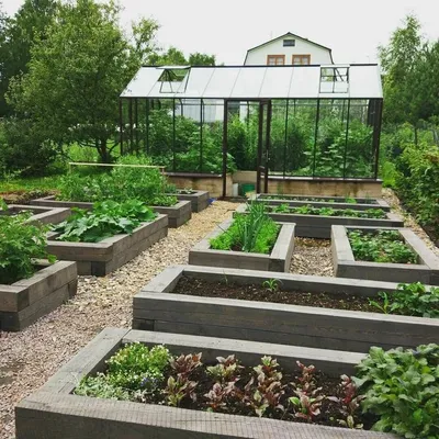 Как превратить участок в шикарный современный сад, используя один приём |  Ландшафтный дизайн | Дзен