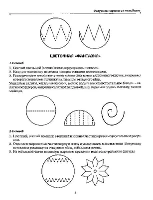 Тема урока Обработка капустных и луковых овощей