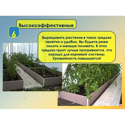 Новинки - Высокие грядки уже в продаже! производитель товаров для дачи дома  и сада Hitsad.ru
