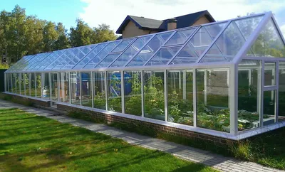 Стеклянные теплицы 100 фото | Diy greenhouse plans, Diy greenhouse, Simple  greenhouse