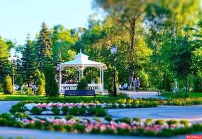 Фото: Струковский сад. Фотолюбитель Анатолий К.. Город. Фотосайт Расфокус.ру