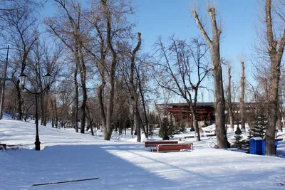 Струковский сад, Самара. 11 фото - Страница 3 из 11. Старая Самара