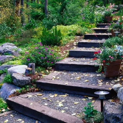 Раз-ступенька, два-ступенька: для чего нужна лестница в саду | Просто Green  | Дзен