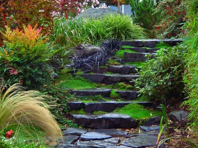 Садовые лестницы и ступени в ландшафтном дизайне / ландшафтное строительство
