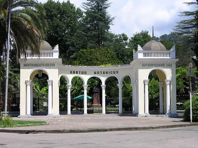 Сухумский ботанический сад — Википедия