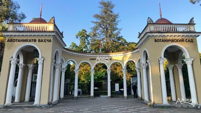 Сухумский ботанический сад в Сухуме