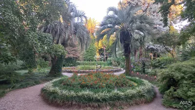 Сухумский ботанический сад, Абхазия. Официальный сайт, цена билета, фото,  видео, отзывы, отели рядом – Туристер.Ру