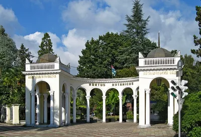Абхазия Live - Сухумский ботанический сад Не забудь... | Facebook