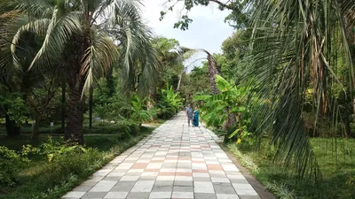 Сухумский ботанический сад - Экскурсии на территории Крыма от сети отелей  ЭкоДом