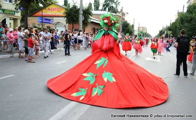 Городской праздник «Сызранский помидор».: МО ГО Сызрань