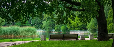 Парк Таврический сад в рейтинге лучших парков Санкт-Петербурга. Отзывы,  фото Парк Санкт-Петербург