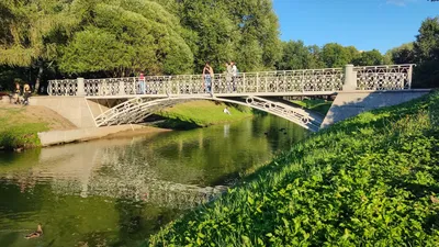 Где устроить майский пикник: 5 мест в Санкт-Петербурге - Я Покупаю