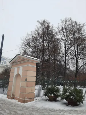 Таврический сад Тропа - Санкт-Петербург, Россия | Pacer