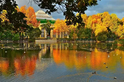 Оранжерея Таврического сада в Петербурге: цена билетов, что посмотреть