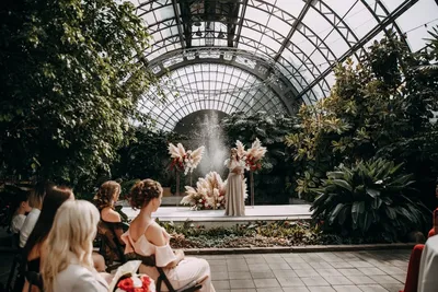 Таврический сад в Санкт-Петербурге: фото, цены, история, отзывы, как  добраться