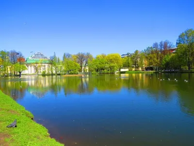 Таврический сад в Санкт-Петербурге | Turinskaya | Дзен