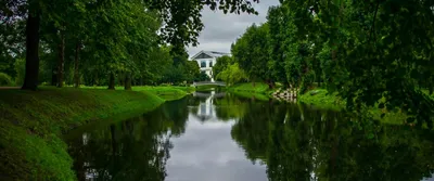 Таврический сад в Санкт-Петербурге