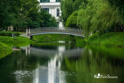 Таврический сад СПб - история и достопримечательности