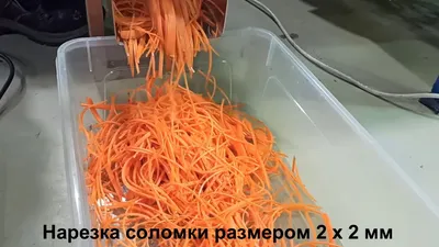 Тёрка для моркови в блистере 27х8 см (оранжевая) / терка для корейской  моркови / терка для моркови по-корейски — купить в интернет-магазине по  низкой цене на Яндекс Маркете