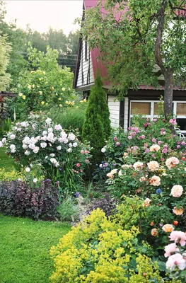 20 самых красивых садов Европы (фото) | Идеи посадки растений, Сады  английских загородных домов, Греческий сад
