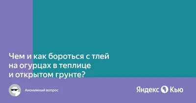 Чем и как бороться с тлей на огурцах в теплице и открытом грунте?» — Яндекс  Кью