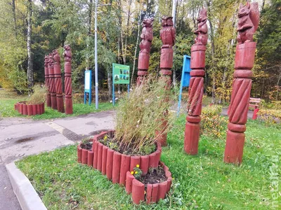 Тропа здоровья «Сороконожка»