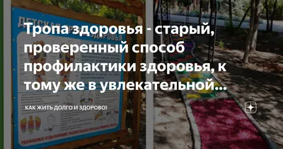 Давиденко Людмила Александровна (более 5 лет) - «Путешествие по  экологической тропе»