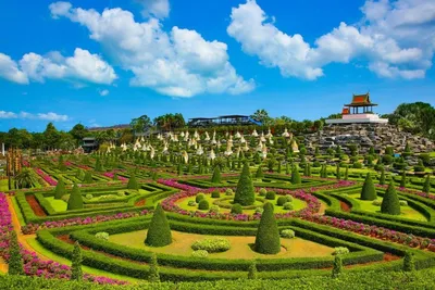 Тропический ботанический сад Нонг Нуч (Nong Nooch Tropical Botanical  Garden) | ботанический сад, собрание миниатюрных деревьев бонсаи, парк  орхидей | Паттайя | Таиланд