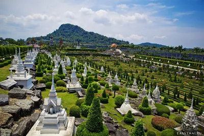 ТАИЛАНД. ТРОПИЧЕСКИЙ САД НОНГ НУЧ (Nong Nooch Tropical Garden). Обсуждение  на LiveInternet - Российский Сервис Онлайн-Дневников