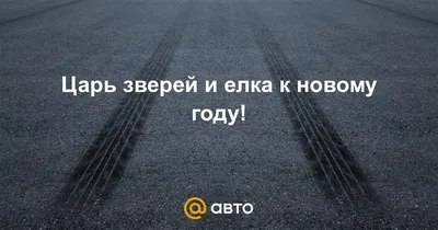 Покупка авто в РБ. Нужет совет. - ЯПлакалъ