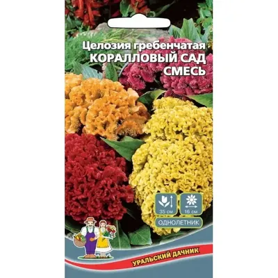 Купить семена Целозия гребенчатая Коралловый сад 0,1г в Липецке и с  доставкой по России