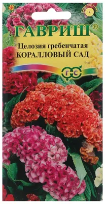 Целозия гребенчатая Коралловый сад (семена,цветы) купить по цене 49 ₽ в  интернет-магазине KazanExpress