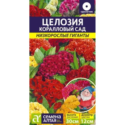 Семена Целозия \"Коралловый сад\", смесь купить по цене 40.1 ₽ в  интернет-магазине KazanExpress