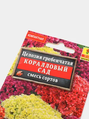 Семена Уральский дачник - Целозия гребенчатая \"Коралловый сад\" смесь -  «Цветы будто с другой планеты 👽. Вырастить проще простого 🙌 (много фото)  » | отзывы