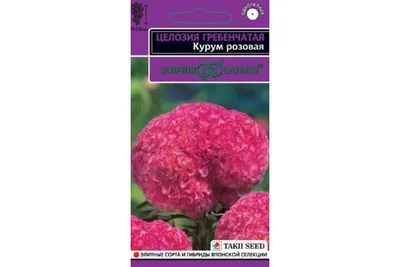 Целозия Коралловый Сад \"Плазменные семена\" 🏆 – купить семена в Перми