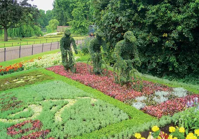 Р Я Б И Н К А: ПРИСОЕДИНЯЙТЕСЬ!