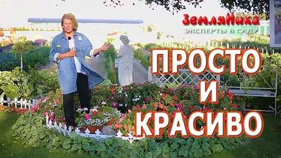 Клумба из бревна для цветов - 76 фото