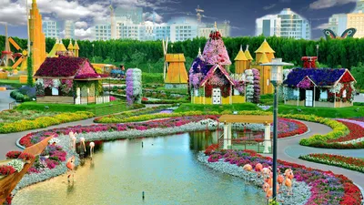 Самый большой в мире природный парк цветов: “Dubai Miracle Garden” -  Amusement Logic